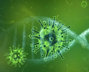 Covid nuovo coronavirus stato emergenza al 15 ottobre 2020 Italia