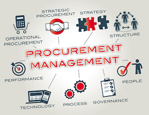 consulenza procurement management