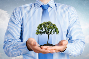 qsa-certificazione-iso-14001